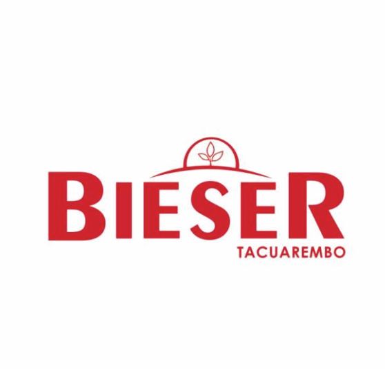 Isologotipo